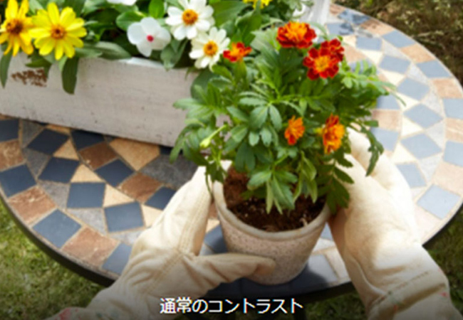 通常のコントラスト
